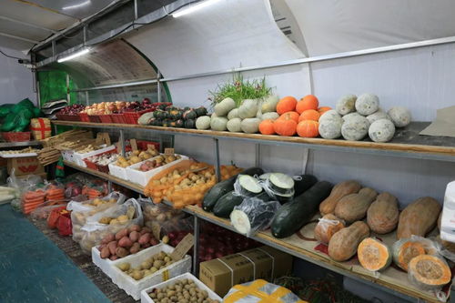 除夕不打烊！海淀北部水鄉(xiāng)市場 鮮貨滿溢，百貨齊全